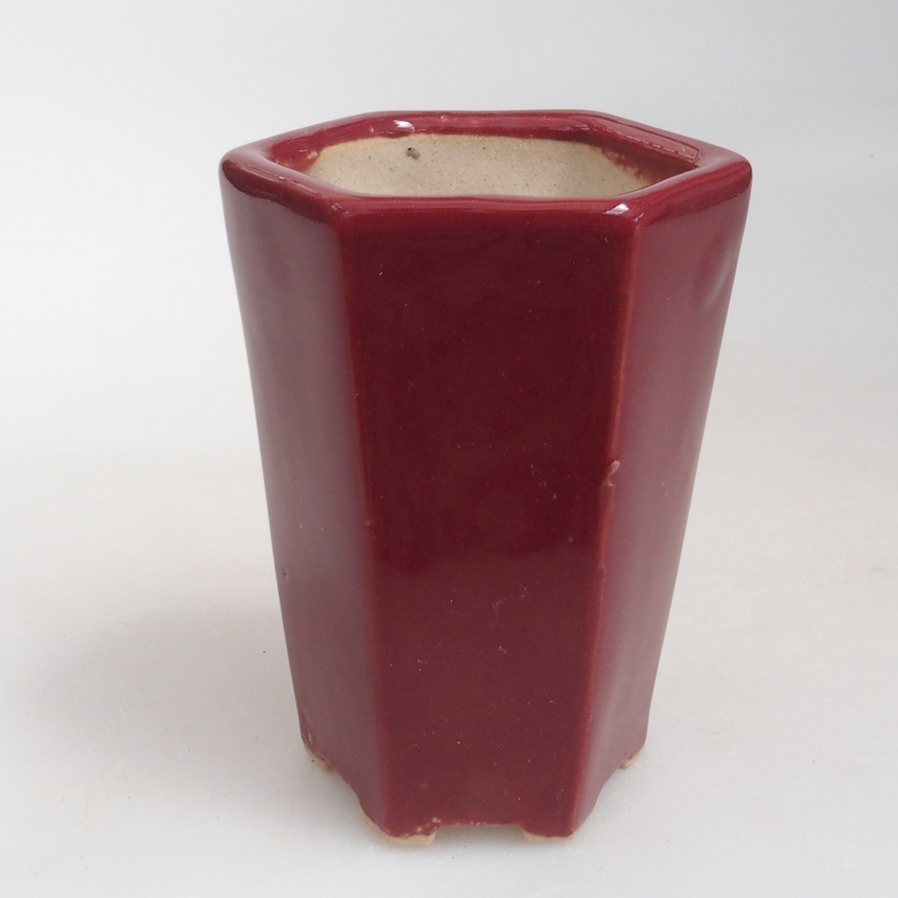 Mini-Bonsaischale 4,5 x 4 x 6 cm, Farbe Burgunder