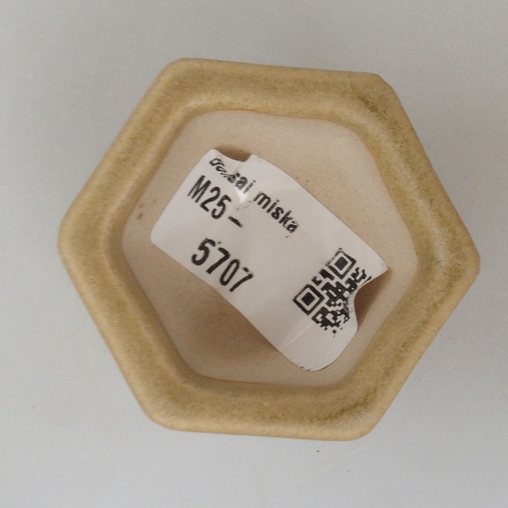 Mini-Bonsaischale 5 x 4,5 x 3  cm, Farbe braun