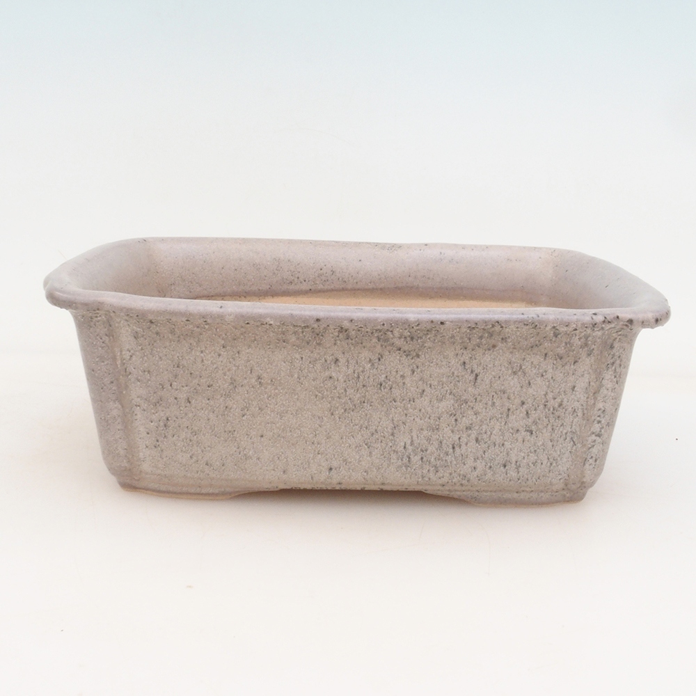 Bonsai-Untertasse H50 – 17 x 12,5 x 5,5 cm – beige