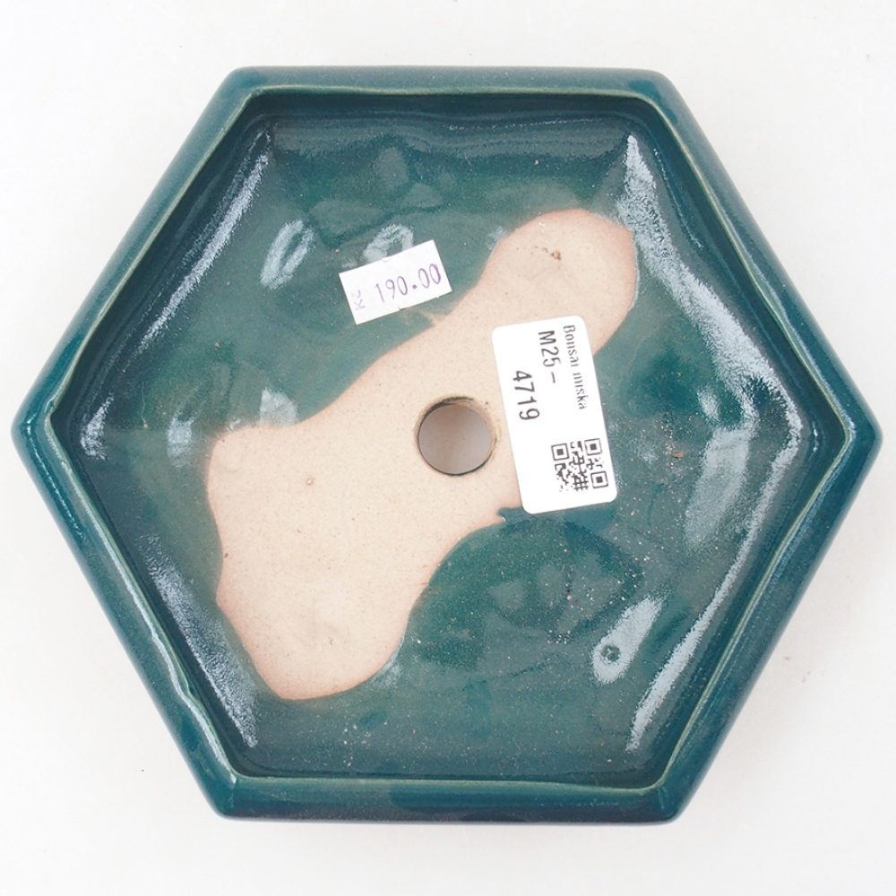 Keramik-Bonsaischale 17 x 15 x 4 cm, Farbe Grün