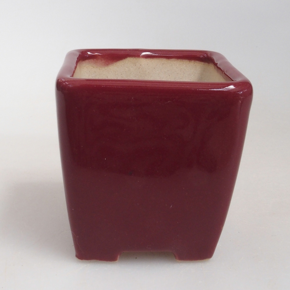Mini-Bonsaischale 4,5 x 4,5 x 4,5 cm, Farbe Burgunder