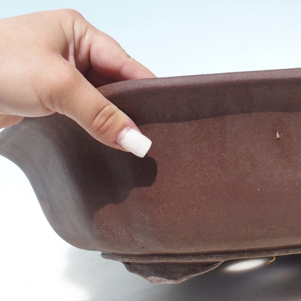 Bonsaischale 39 x 39 x 11,5 cm Birke braun