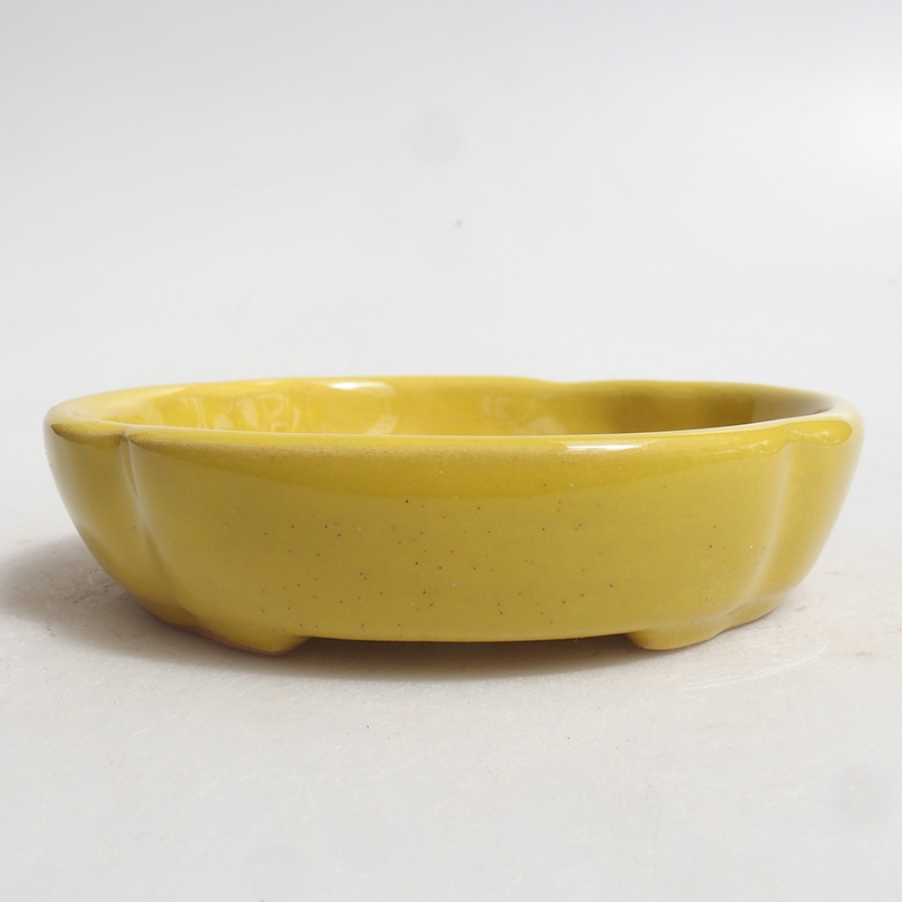 Keramik-Bonsaischale 11 x 11 x 3 cm, Farbe Gelb