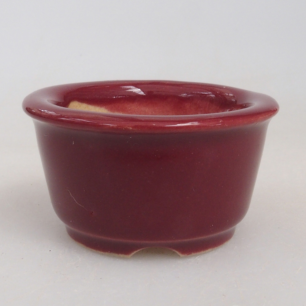 Mini-Bonsaischale 4 x 4 x 2 cm, Farbe Burgunder