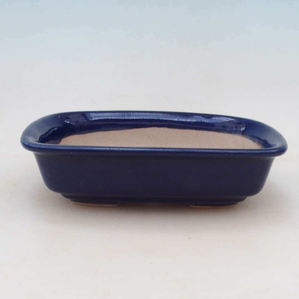 Bonsai-Schale + Untertasse H02 – Blau
