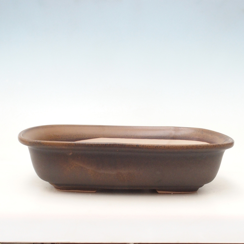 Bonsai-Schale H10 - 37 x 28 x 9 cm