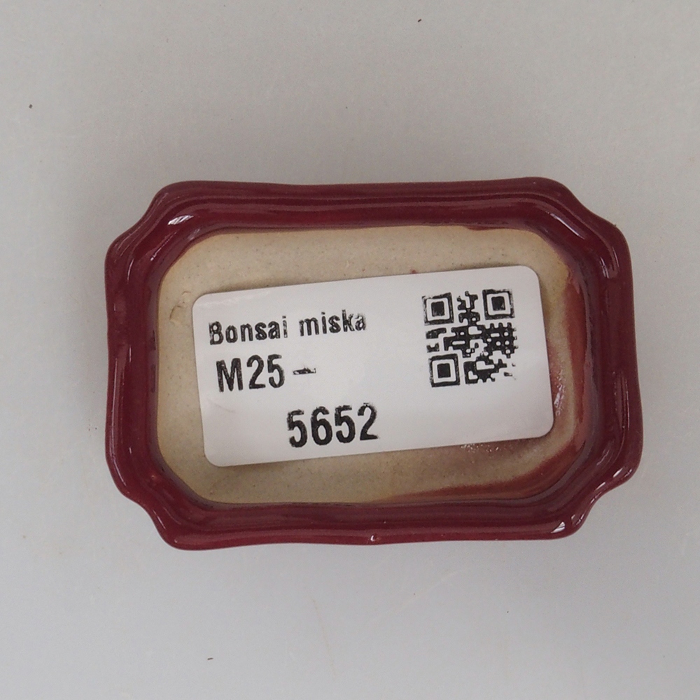Mini-Bonsaischale 5,5 x 3,5 x 1,5 cm, Farbe Burgunder