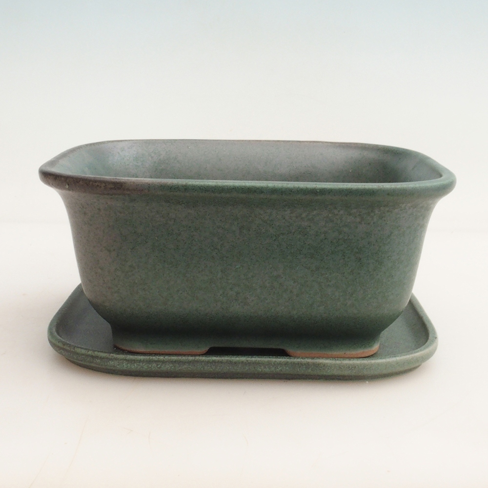 Bonsai-Schale + Untertasse H36 – 17 x 15 x 7,5 cm – Grün