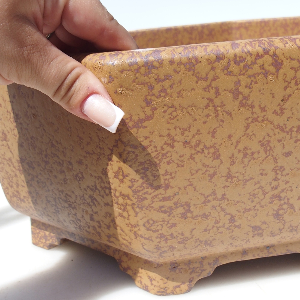 Schale 34 x 32 x 13 cm