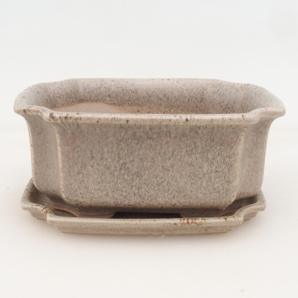 Bonsai-Schale + Untertasse H01 – Beige