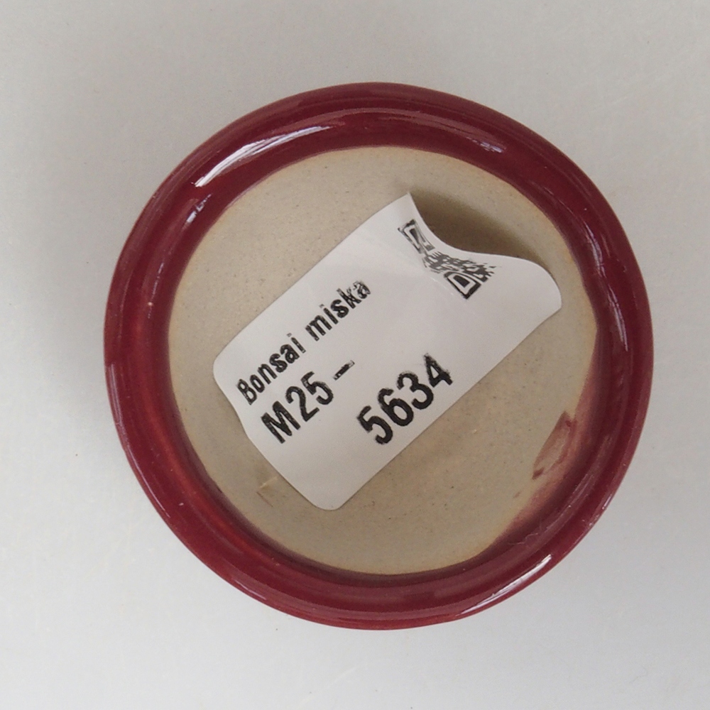 Mini-Bonsaischale 4,5 x 4,5 x 2,5 cm, Farbe Burgunder