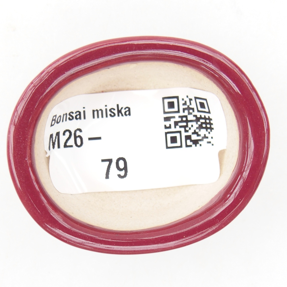 Mini-Bonsaischale 4,5 x 4 x 2 cm, bordeauxrot
