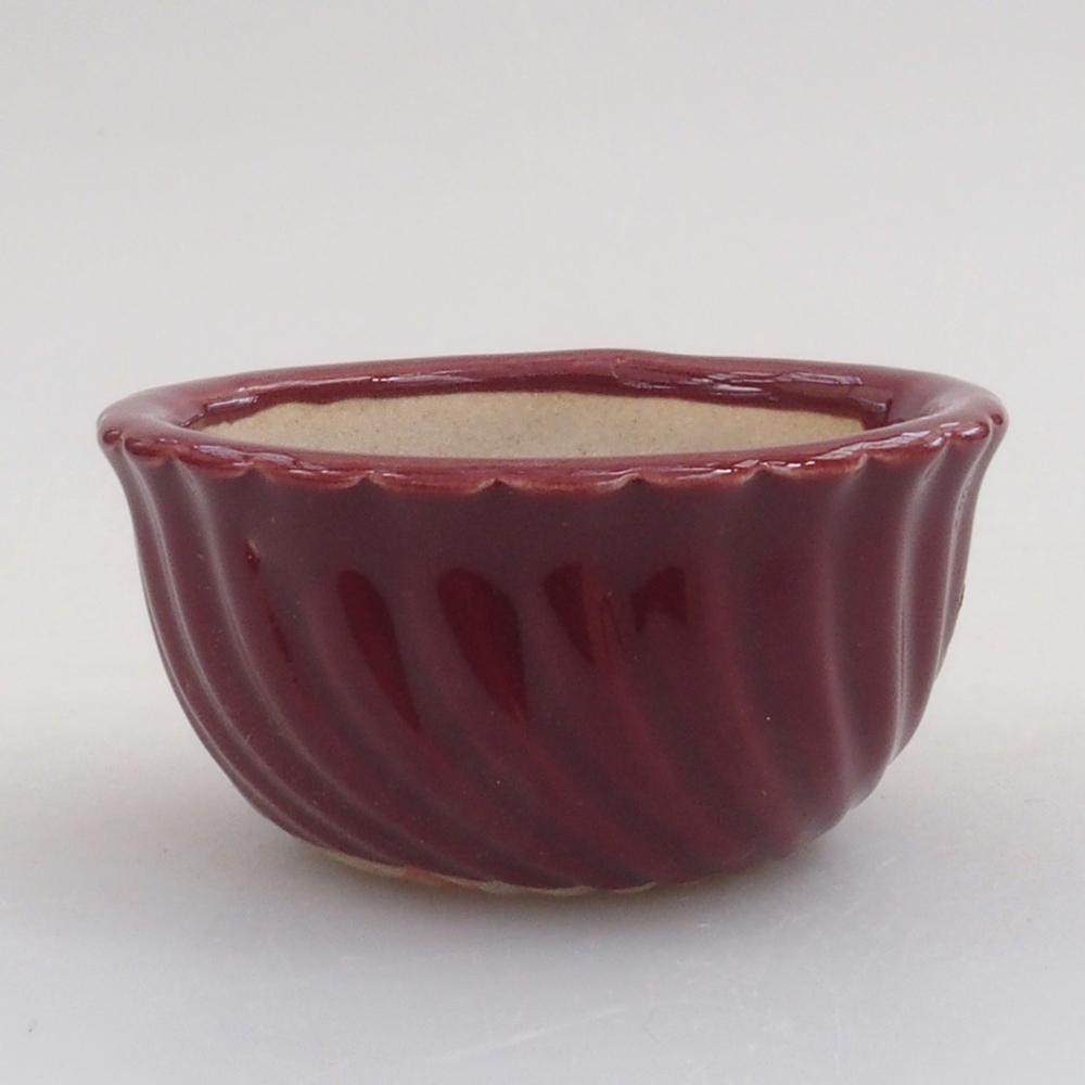 Mini-Bonsaischale 5 x 5 x 2,5 cm, Farbe Burgunder