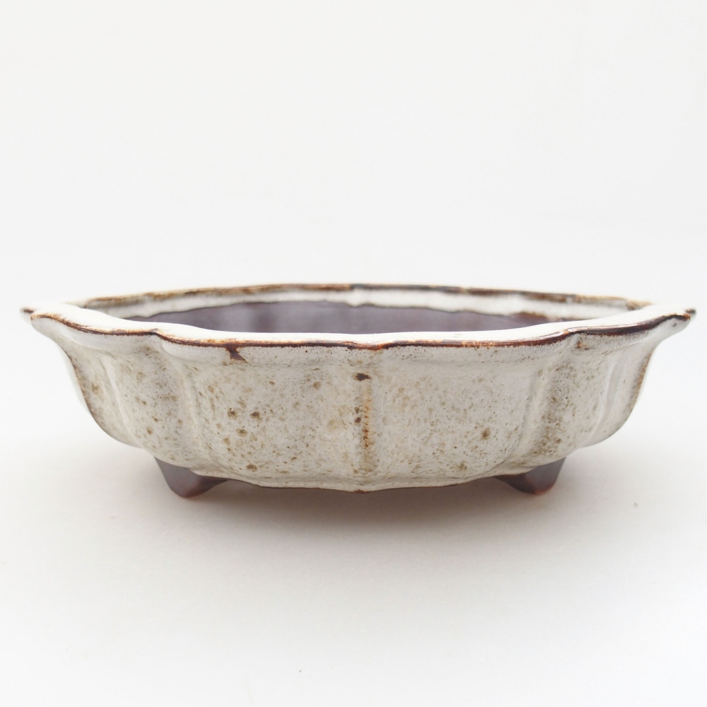 Keramik-Bonsaischale 18 x 18 x 5 cm, Farbe Weiß