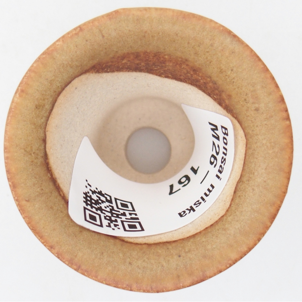 Mini-Bonsaischale 4,5 x 4,5 x 4 cm, braun