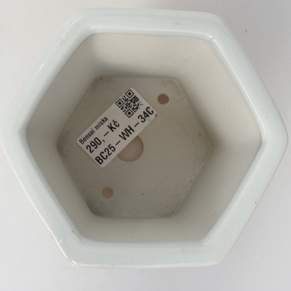 Bonsaischale aus Keramik 10,5 x 9,5 x 9 cm, Farbe weiß