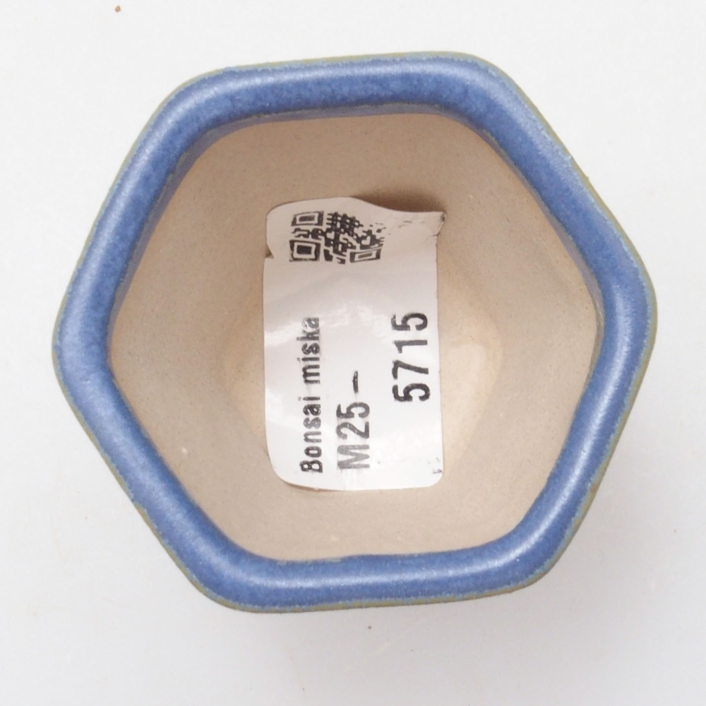 Mini-Bonsaischale 5 x 5 x 5 cm, Farbe blau
