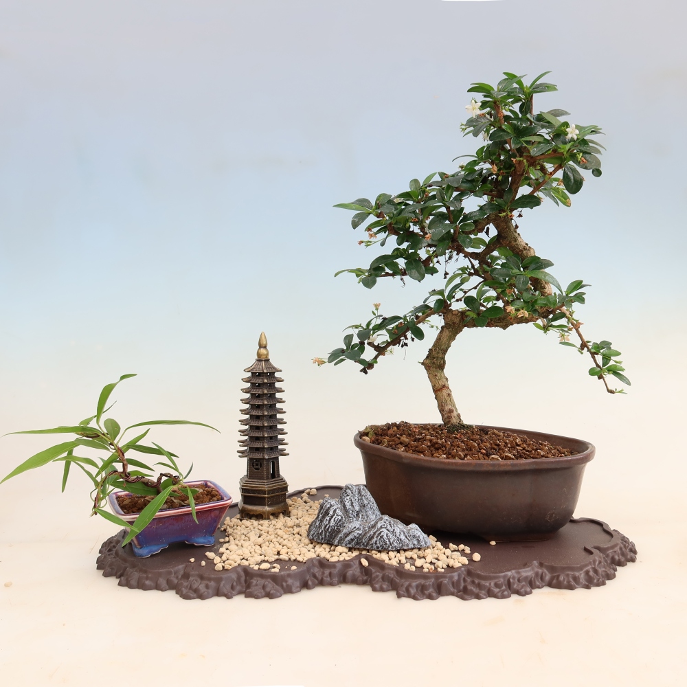 Kunststoff-Sockel für Bonsai, 43 x 25 x 1,5 cm, Farbe: braun