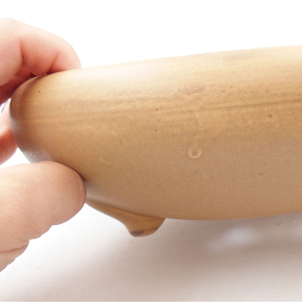 Keramik-Bonsaischale 21 x 21 x 7,5 cm, Farbe beige