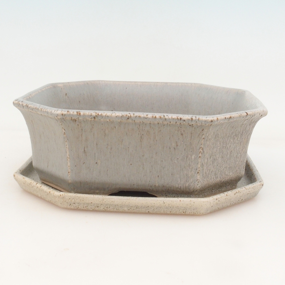 Bonsai-Schale + Schale H14 - beige