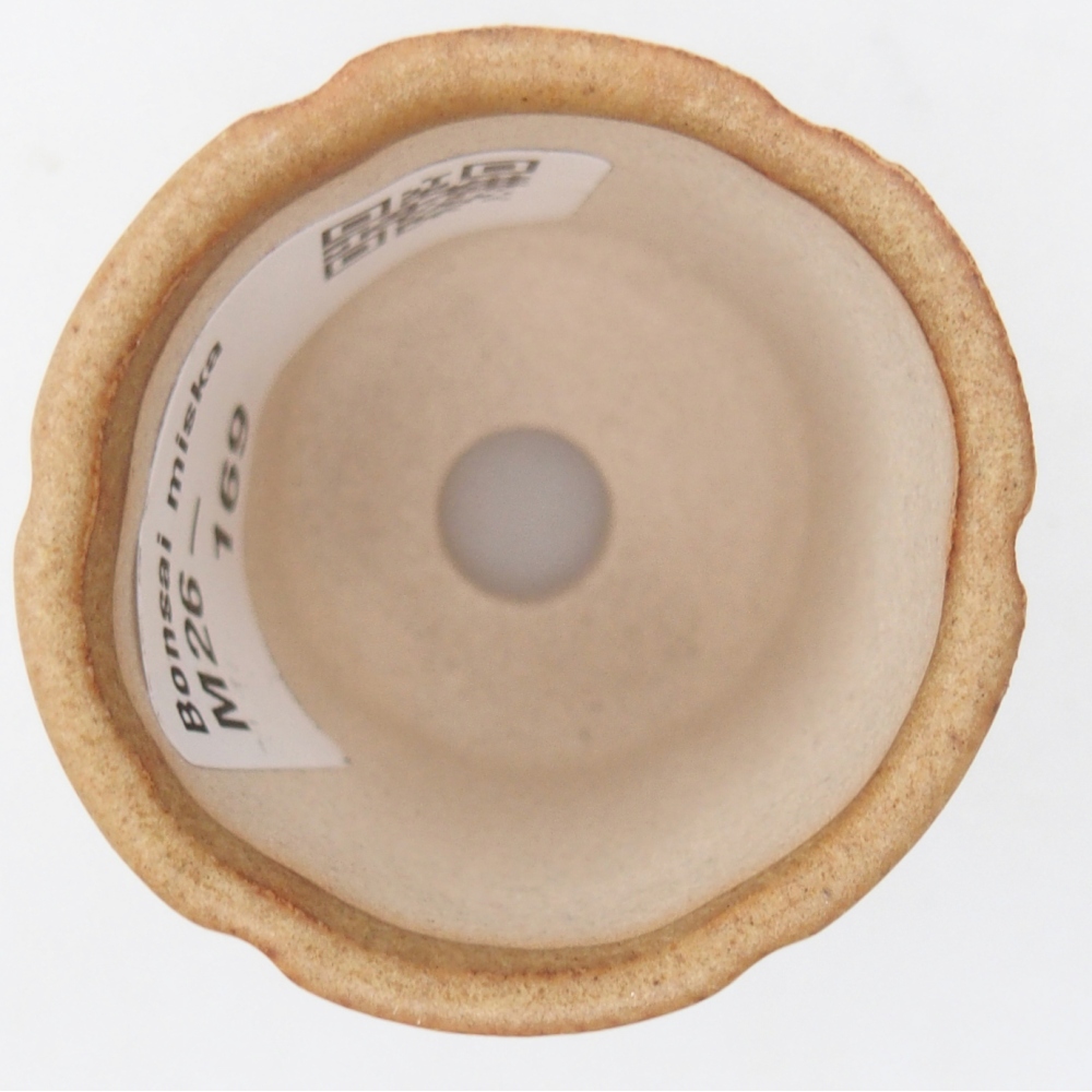 Mini-Bonsaischale 4 x 4 x 4,5 cm, braun