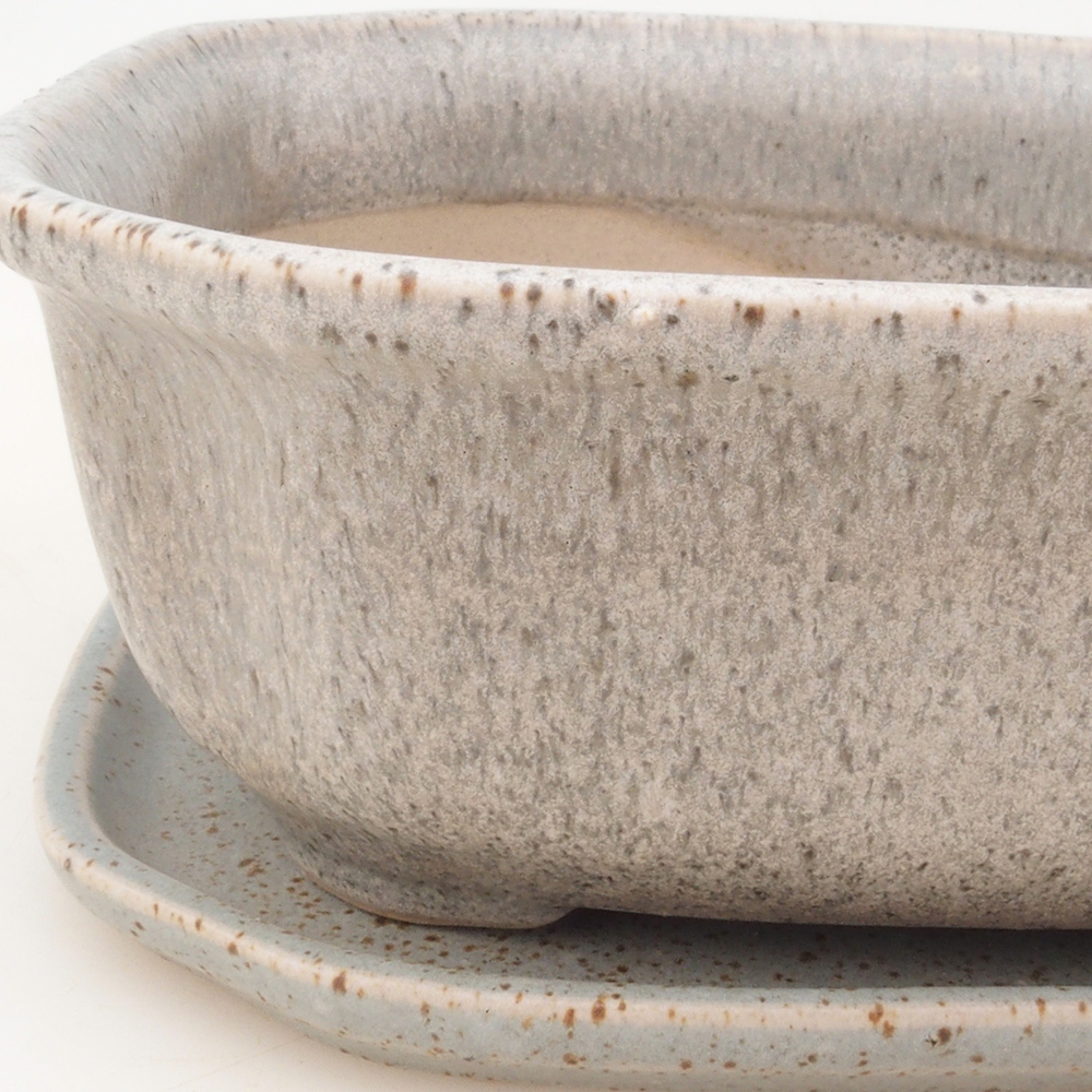 Bonsai-Schale + Untertasse H31 – Beige