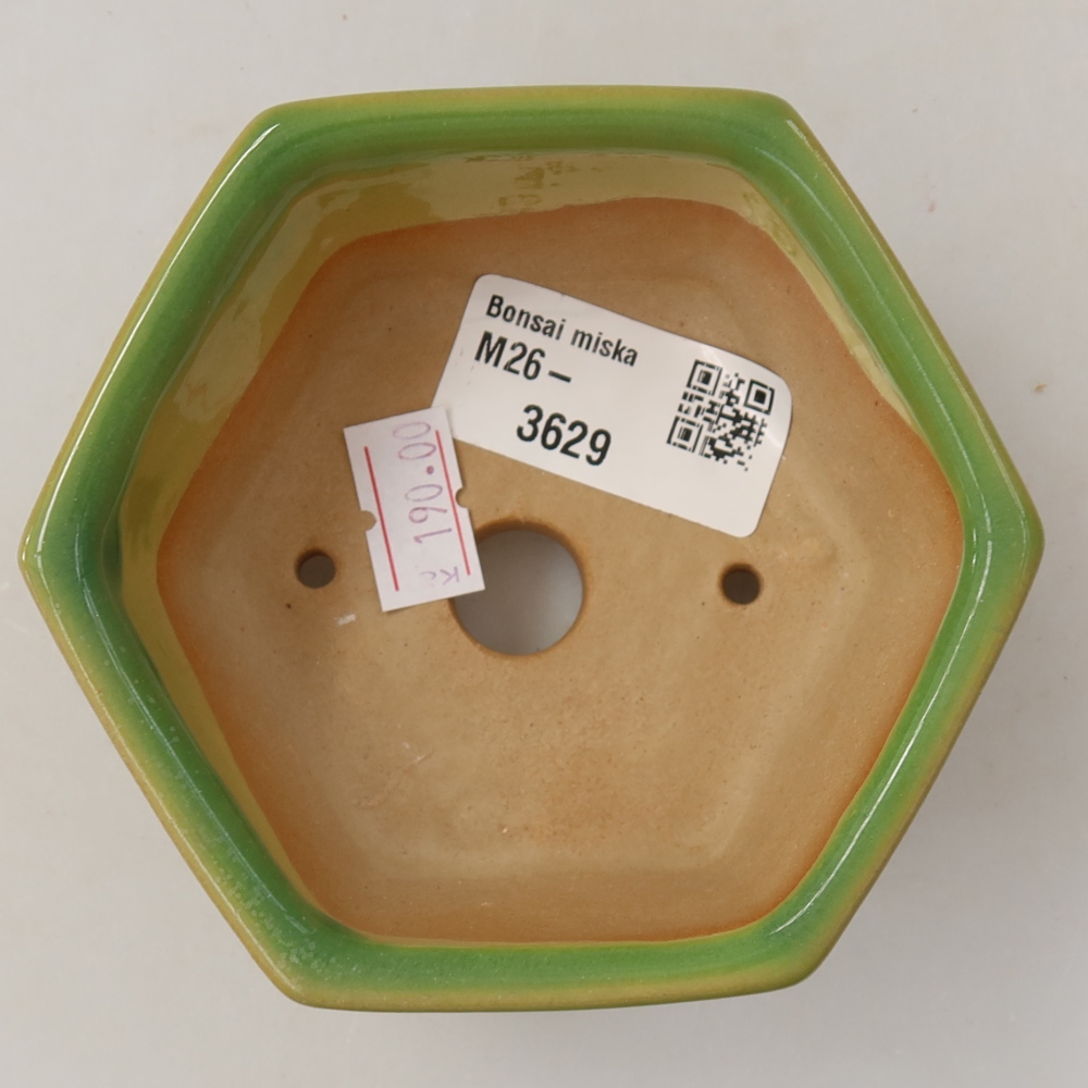 Bonsaischale aus Keramik 10 x 9 x 5 cm, grün