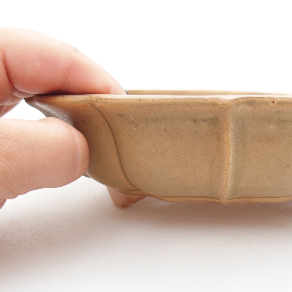 Keramik-Bonsaischale 18 x 18 x 5 cm, Farbe beige