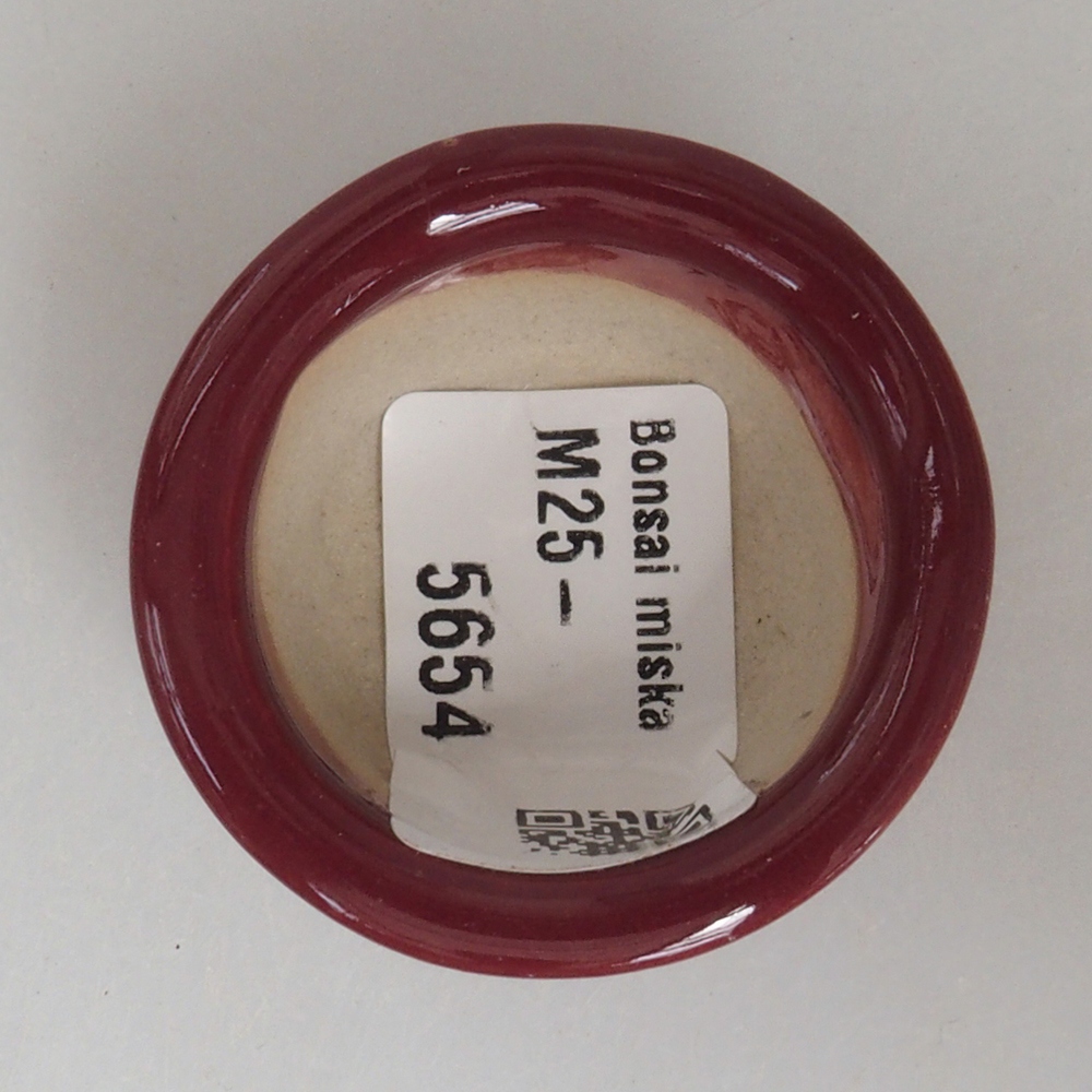 Mini-Bonsaischale 4 x 4 x 2 cm, Farbe Burgunder
