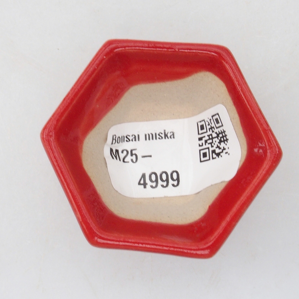 Mini-Bonsaischale  5 x 4,5 x 3 cm, Farbe rot