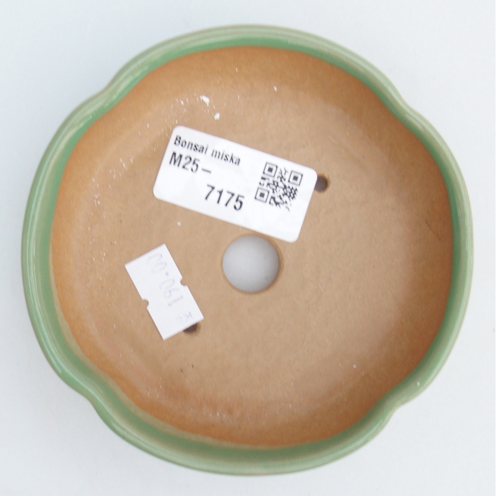 Bonsaischale aus Keramik 11 x 11 x 3 cm, grün