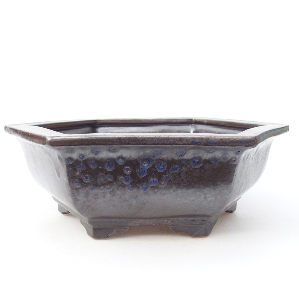 Bonsaischale aus Keramik 28 x 24,5 x 9 cm, Farbe blau-schwarz