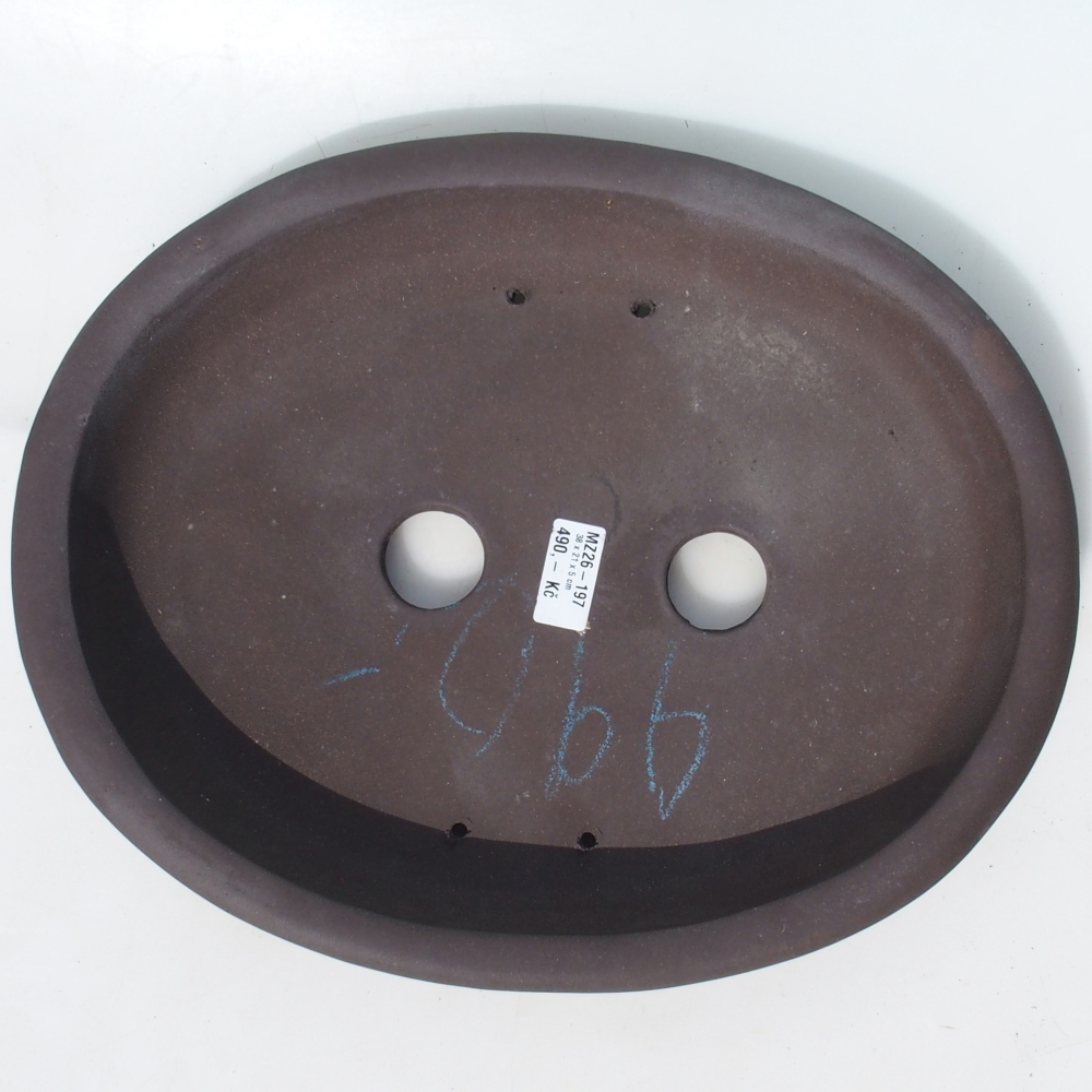 Bonsaischale 38 x 21 x 5 cm Birke braun