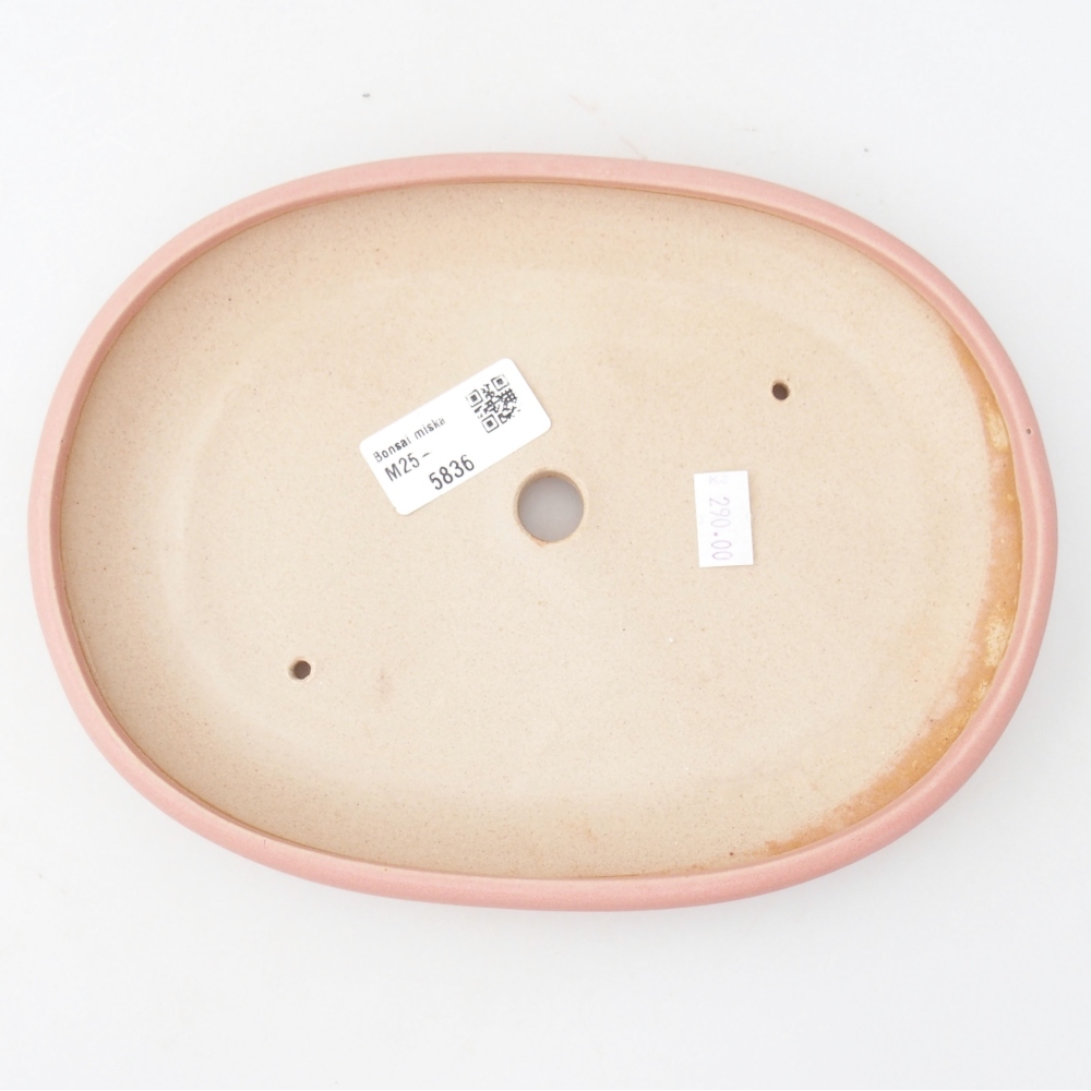 Keramik-Bonsaischale 22,5 x 17 x 3 cm, Farbe rosa