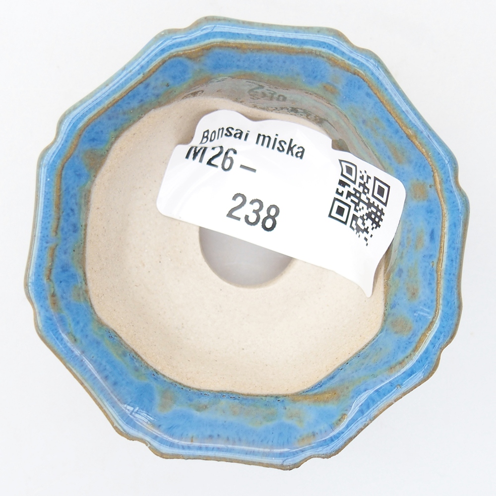 Mini-Bonsaischale 6 x 6 x 2,5 cm, Farbe blau