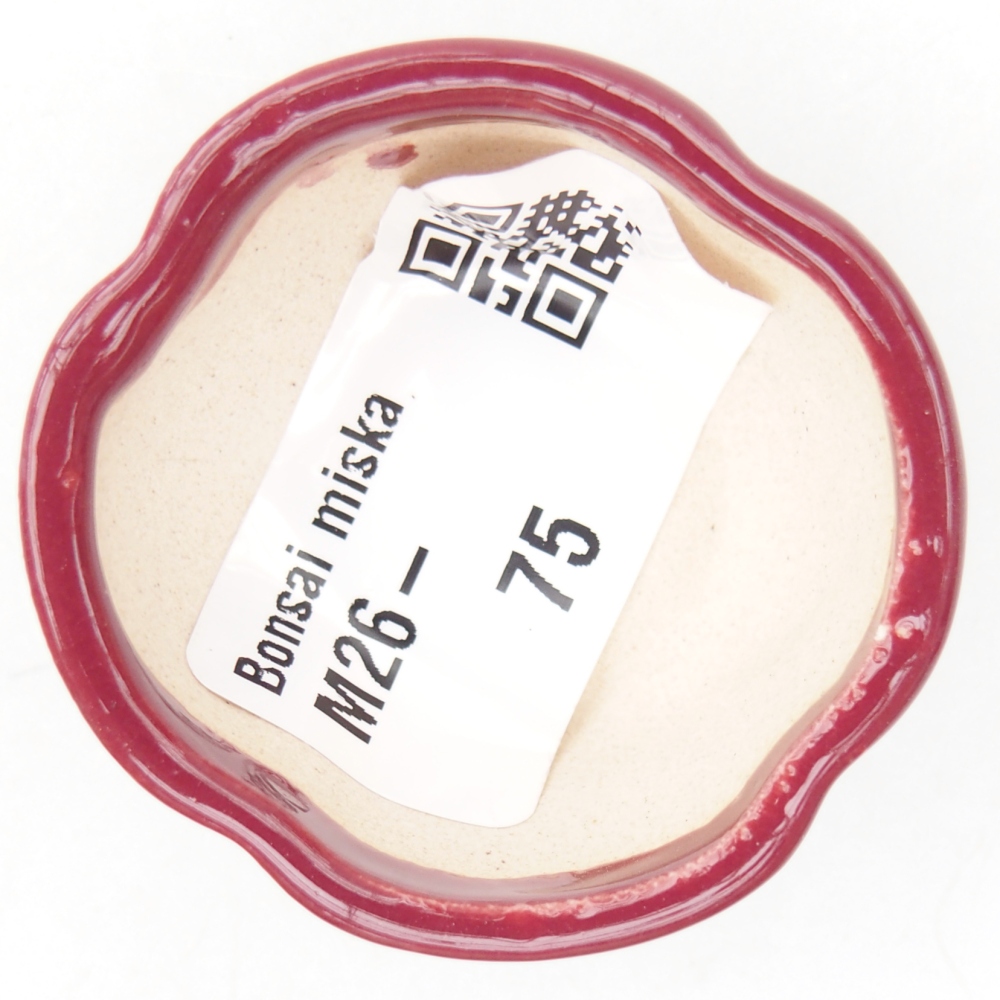 Mini-Bonsaischale 4 x 4 x 2 cm, bordeauxrot