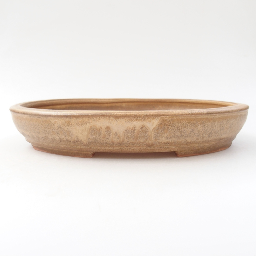 Keramik-Bonsaischale 24,5 x 20 x 4 cm, Farbe beige