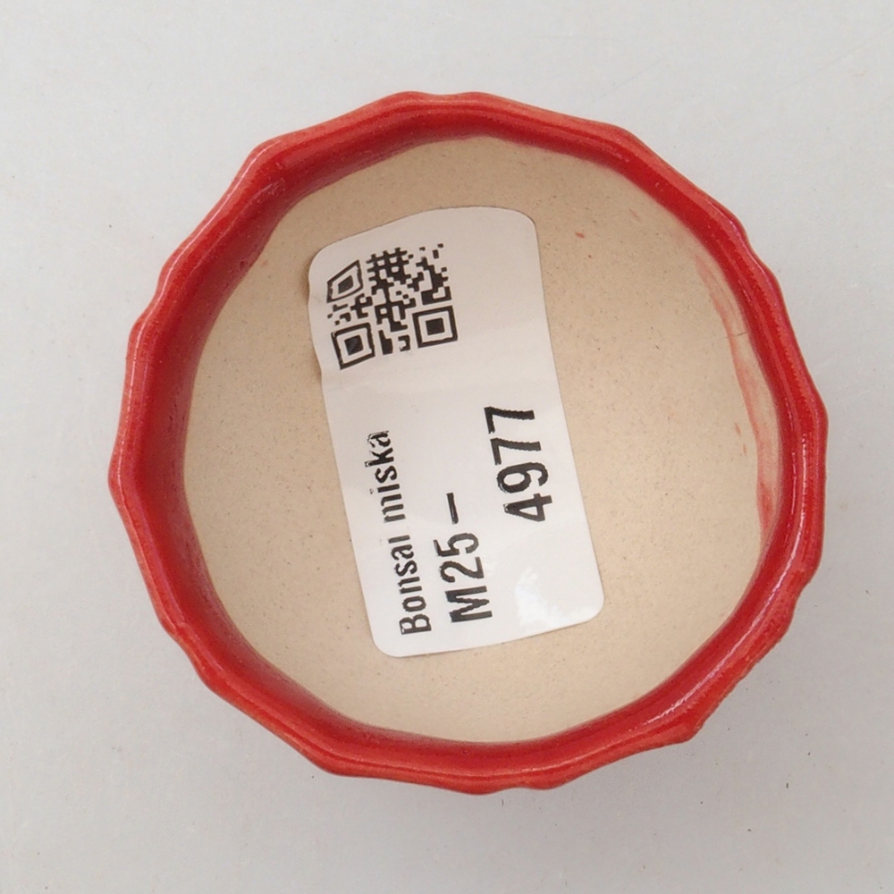 Mini-Bonsaischale 5 x 5 x 3 cm, Farbe rot