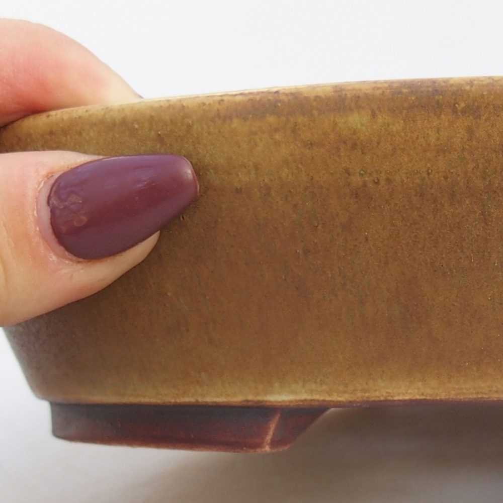 Keramik-Bonsaischale 18,5 x 16,5 x 4 cm, Farbe Grün
