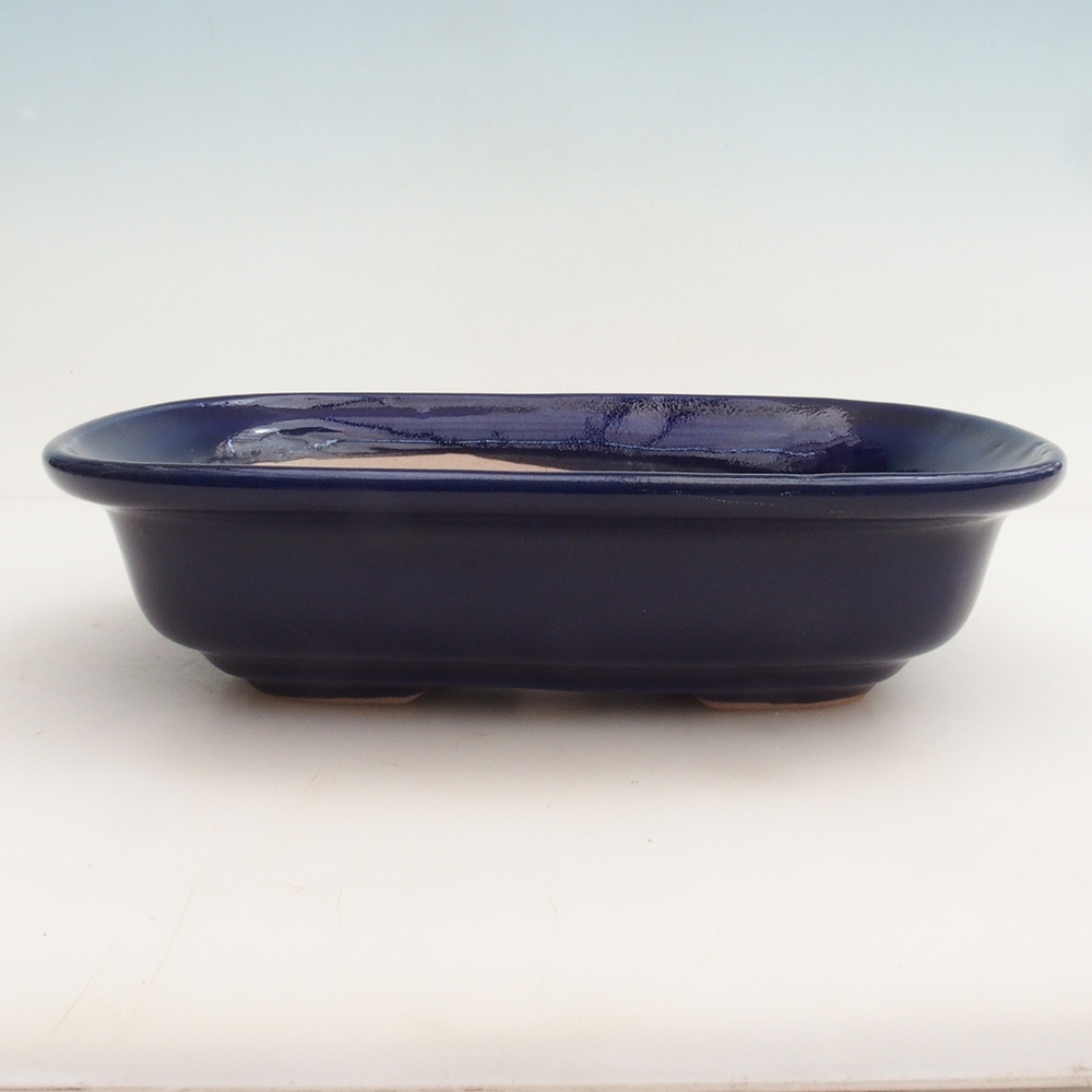 Bonsai-Schale H25 – 23 x 17 x 5,5 cm - blau