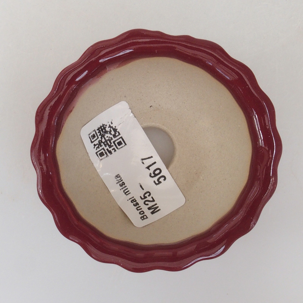 Mini-Bonsaischale 6,5 x 6,5 x 3,5 cm, Farbe Burgunder