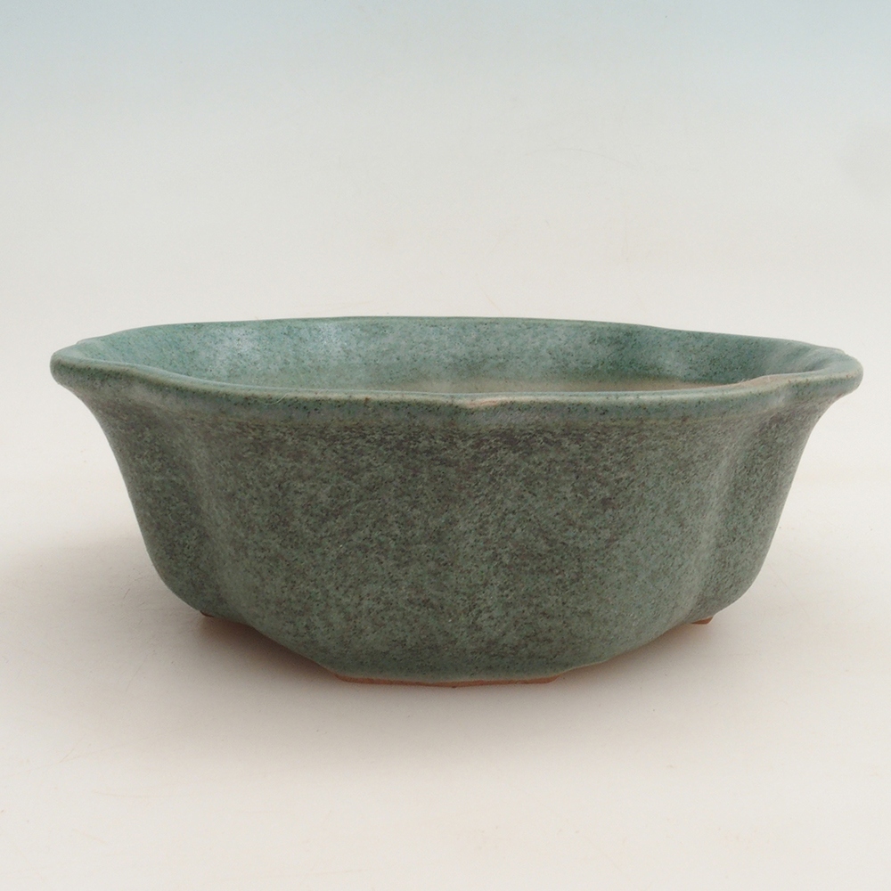 Bonsai-Schale + Untertasse H06 – 14,5 x 14,5 x 5 cm – grün