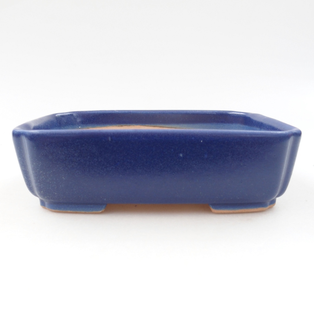 Keramik-Bonsaischale 15 x 12 x 4,5 cm, Farbe blau