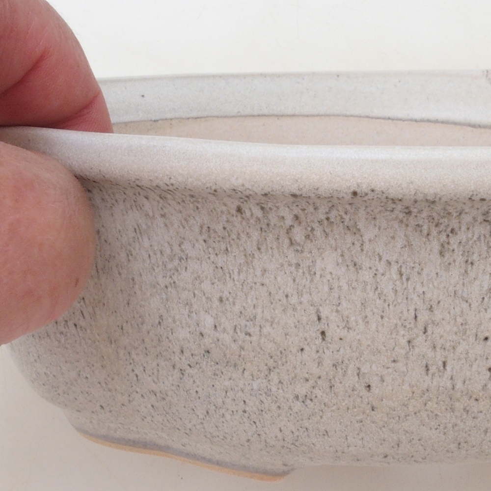 Bonsai-Schale H75 - 19 x 14 x 6,5 cm - beige