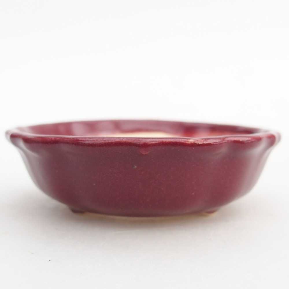 Mini-Bonsaischale 7,5 x 7,5 x 2,5 cm, bordeauxrot