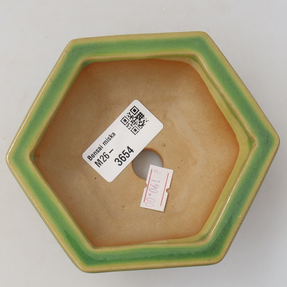 Bonsaischale aus Keramik 12 x 10,5 x 4,5 cm, grün
