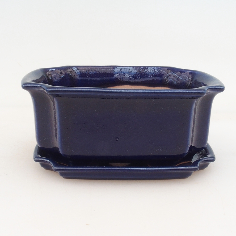 Bonsaischale + Schale H01 – blau