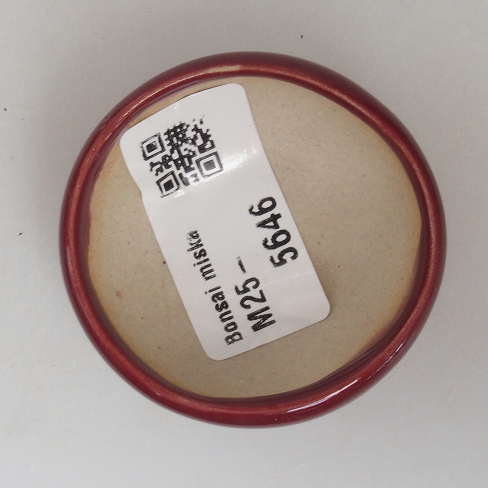Mini-Bonsaischale 5 x 5 x 2 cm, Farbe Burgunder