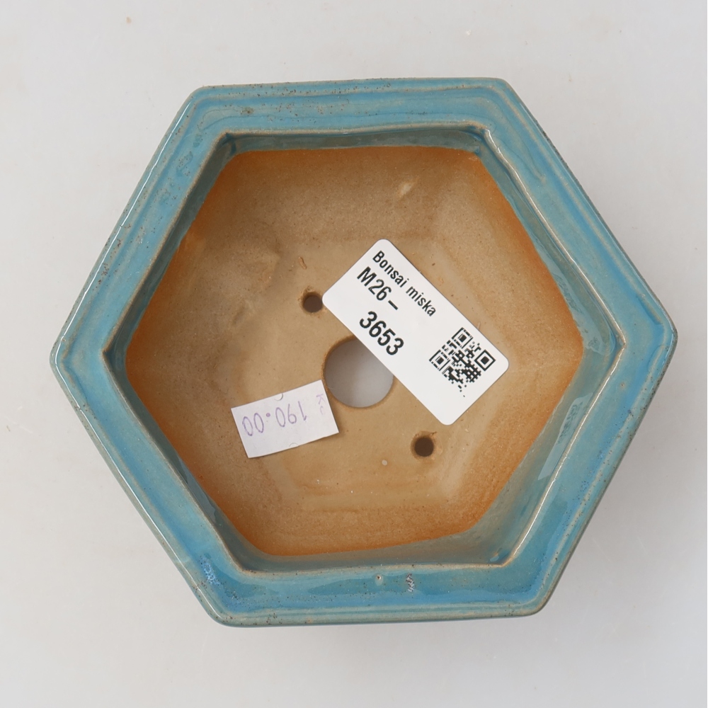 Bonsaischale aus Keramik 12 x 10,5 x 4,5 cm, Farbe blau