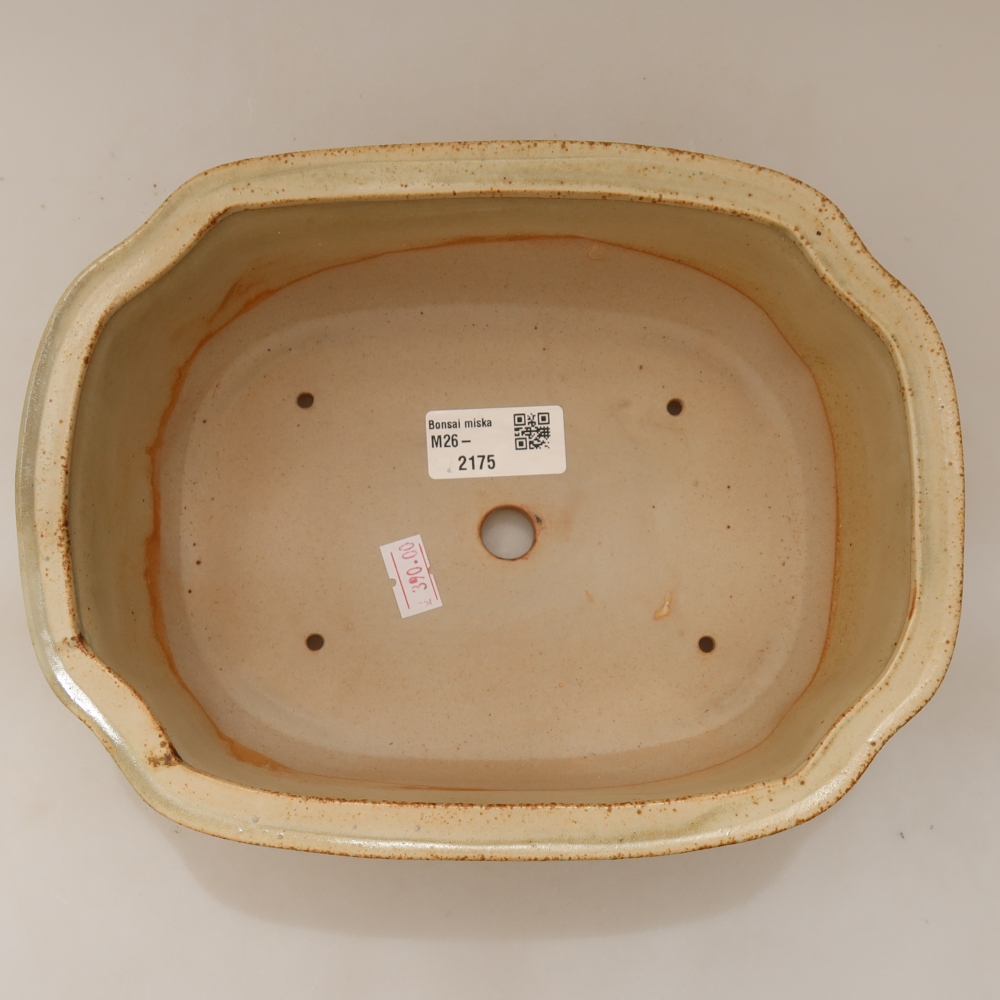Bonsaischale aus Keramik 22,5 x 17,5 x 7,5 cm, Farbe beige